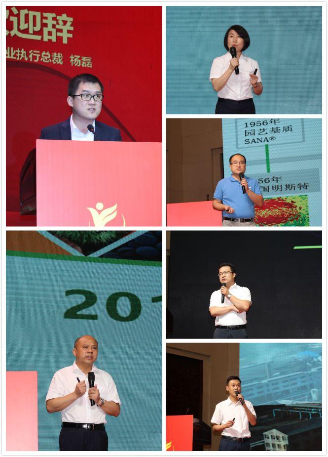 新洋丰股票的投资价值解析